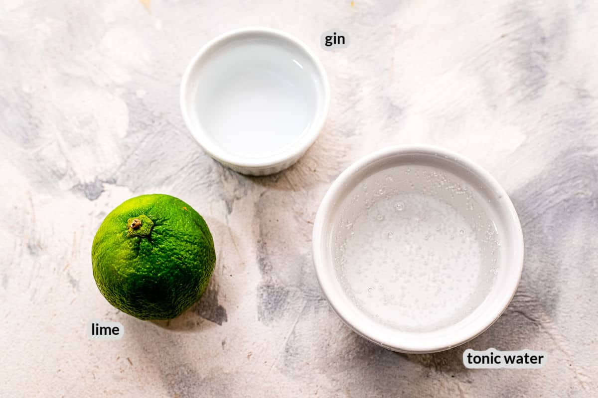 The Best Gin and Tonic Recipe