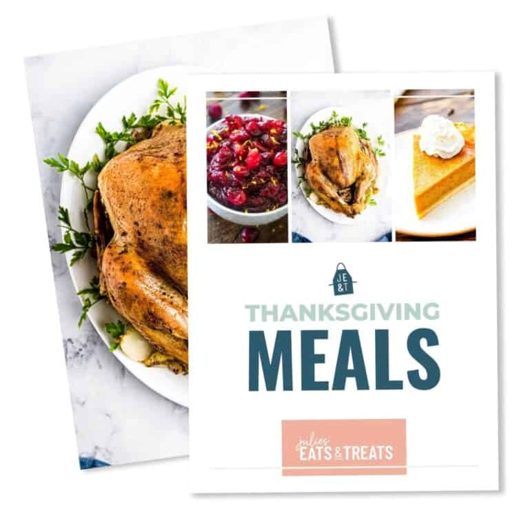 Thanksgiving Ebook Skinny Bar CTA