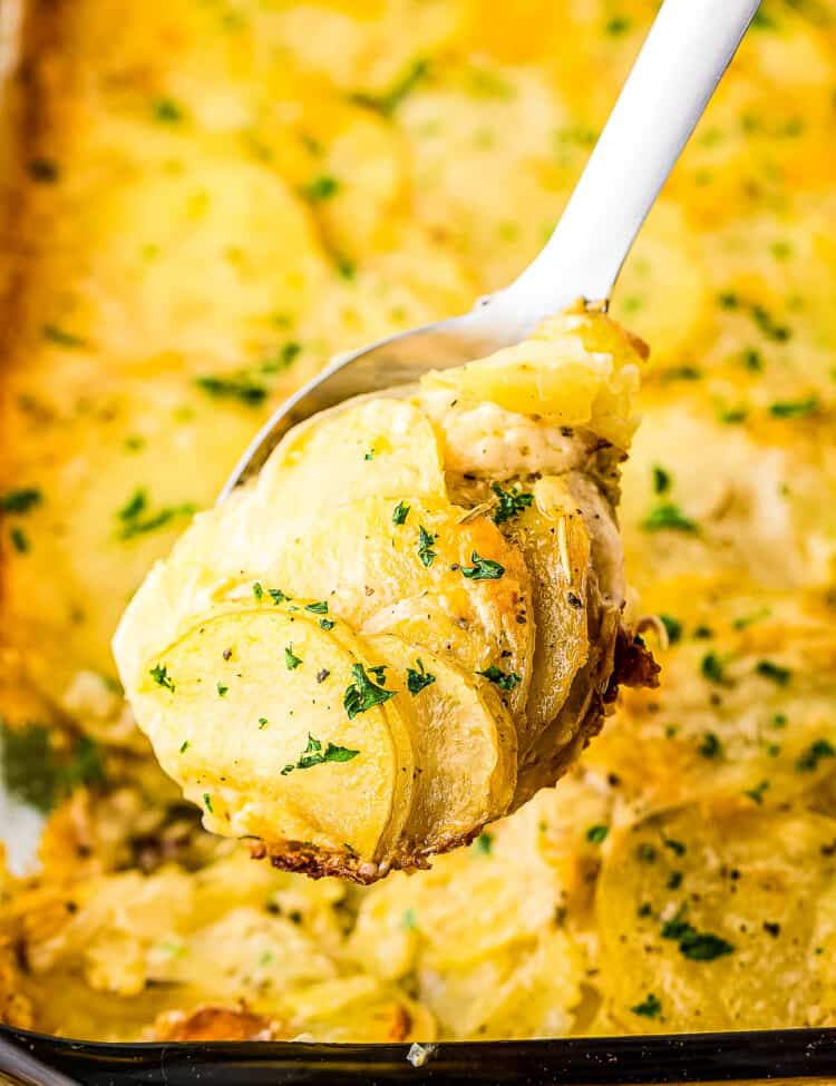 Serving spoon with Potatoes Au Gratin on it