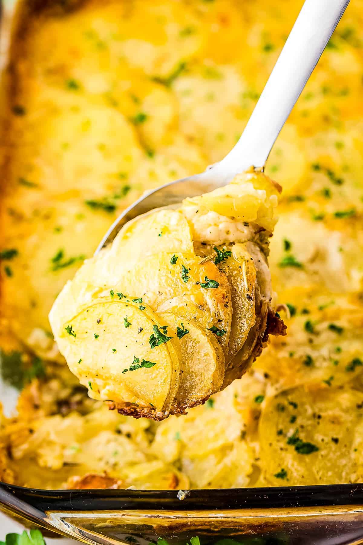 Serving spoon with Potatoes Au Gratin on it