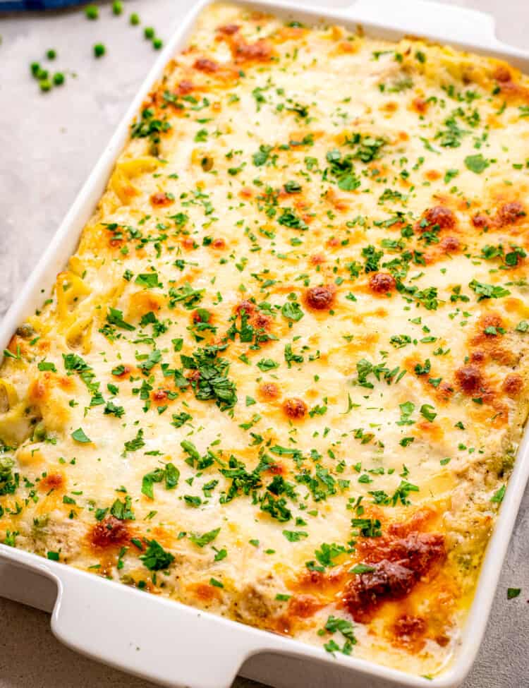 Turkey Tetrazzini baked in a white casserole dish