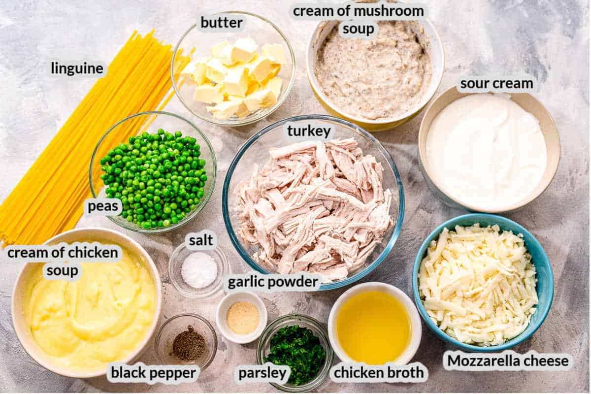 Overhead image of Turkey Tetrazzini Ingredients