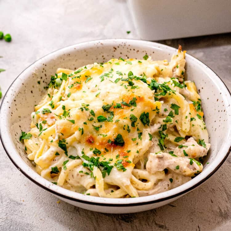 Turkey Tetrazzini Square cropped image