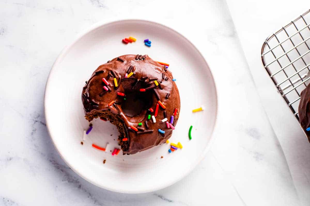 Overhead image of white plate with chocolate donut with bite taken out of it