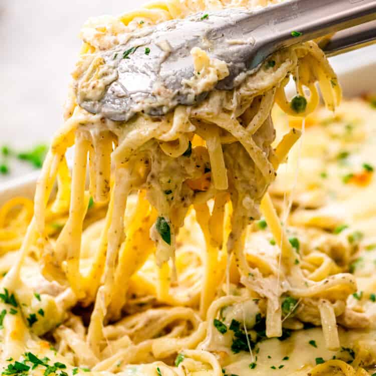 Tongs with cheesy chicken tetrazzini in it