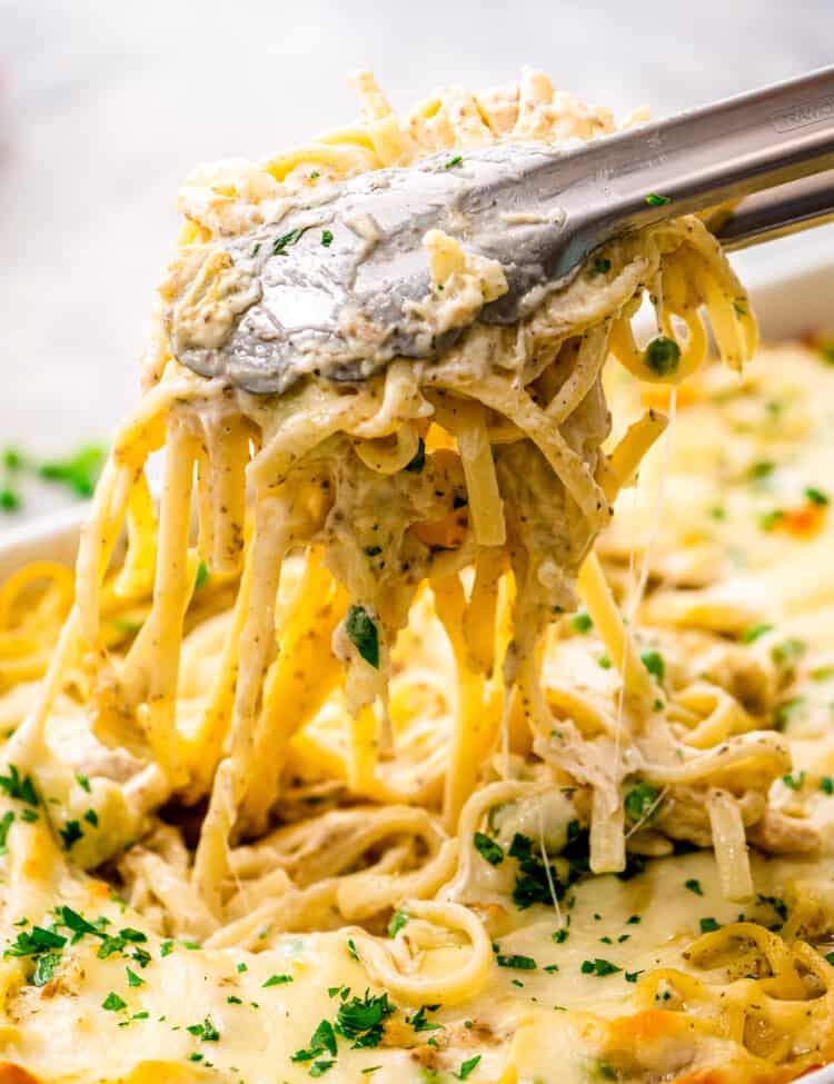 Tongs with cheesy chicken tetrazzini in it