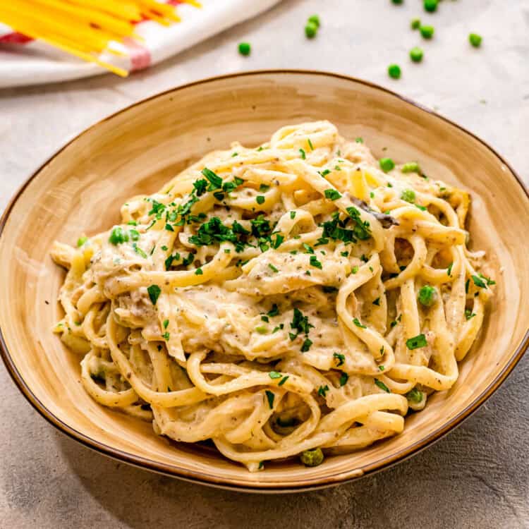 Chicken Tetrazzini square cropped image