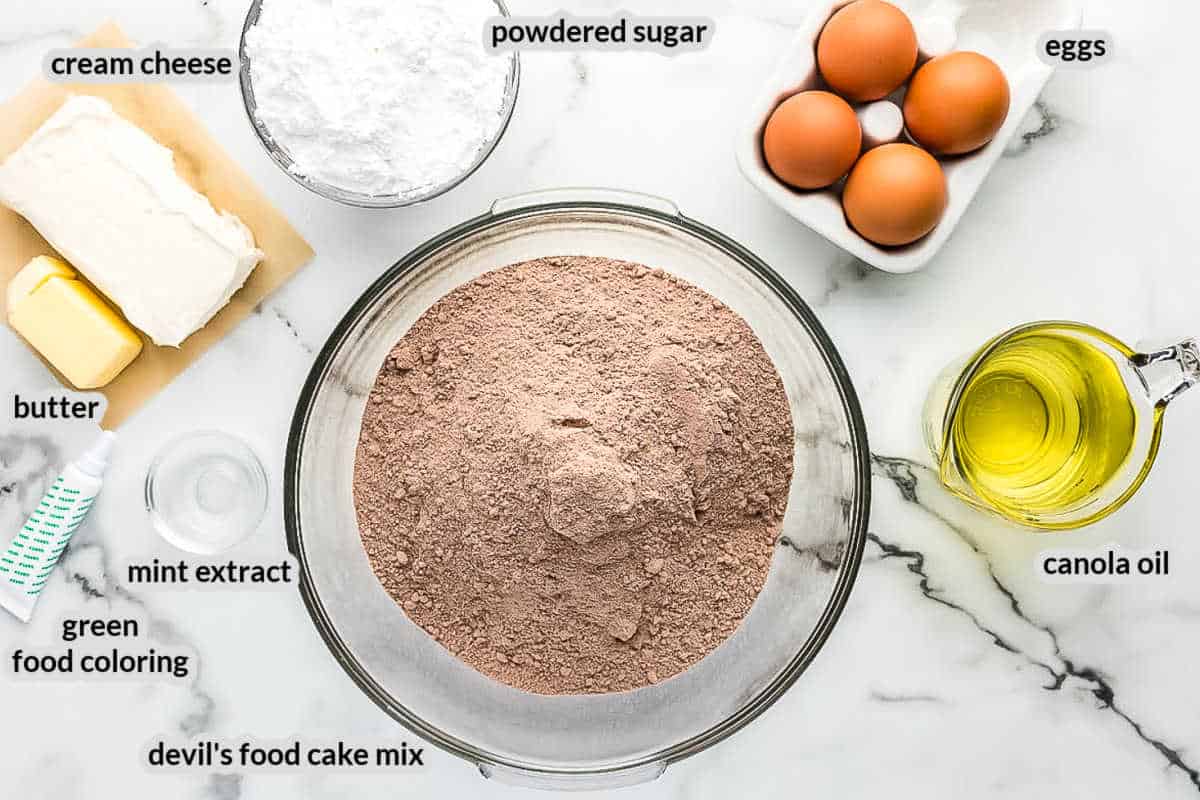 Overhead image of Mint Chocolate Sandwich Cookies Ingredients