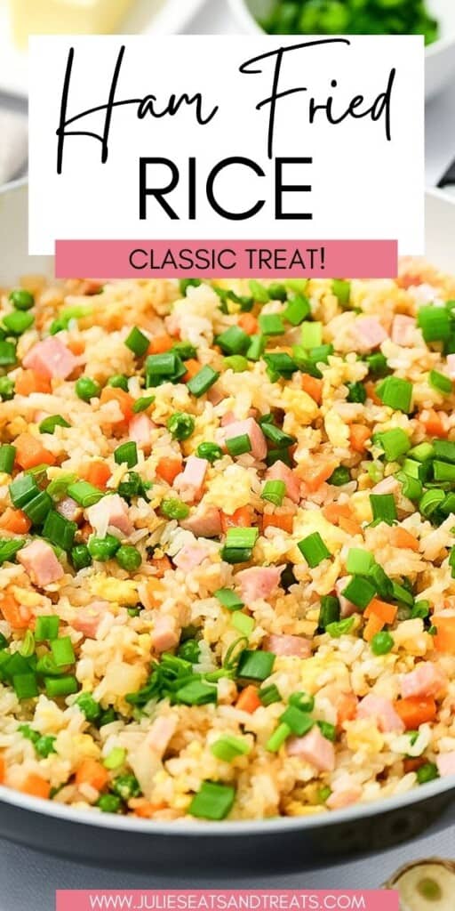 Ham Fried Rice JET Pin Image