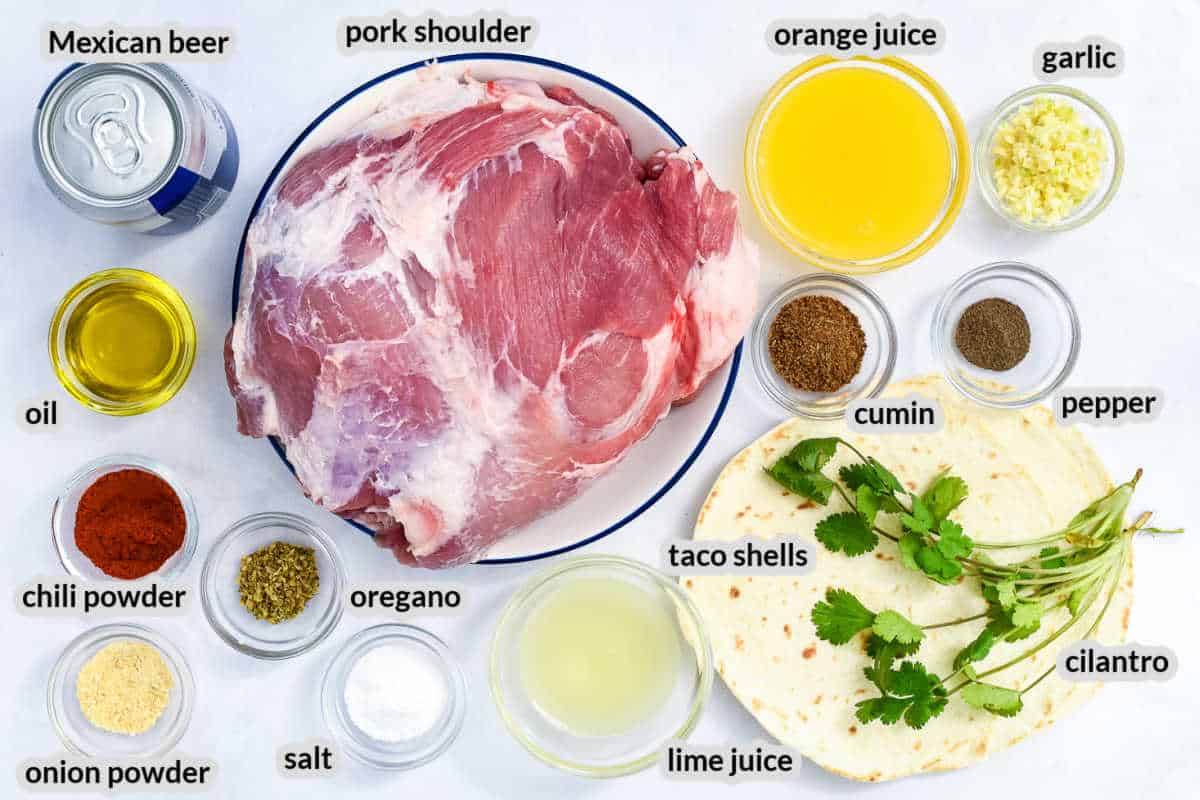 Overhead image of Instant Pot Pork Carnitas Ingredients