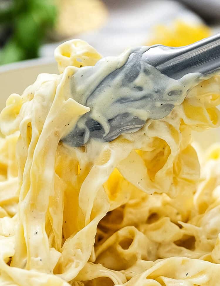 Chicken Alfredo Sauce Square cropped image