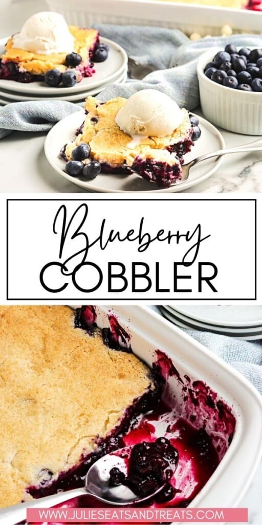 Blueberry Cobbler JET Pin Image.