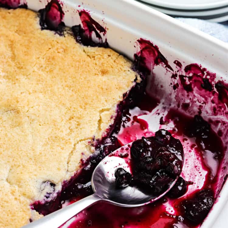 Blueberry Cobbler Square cropped image.