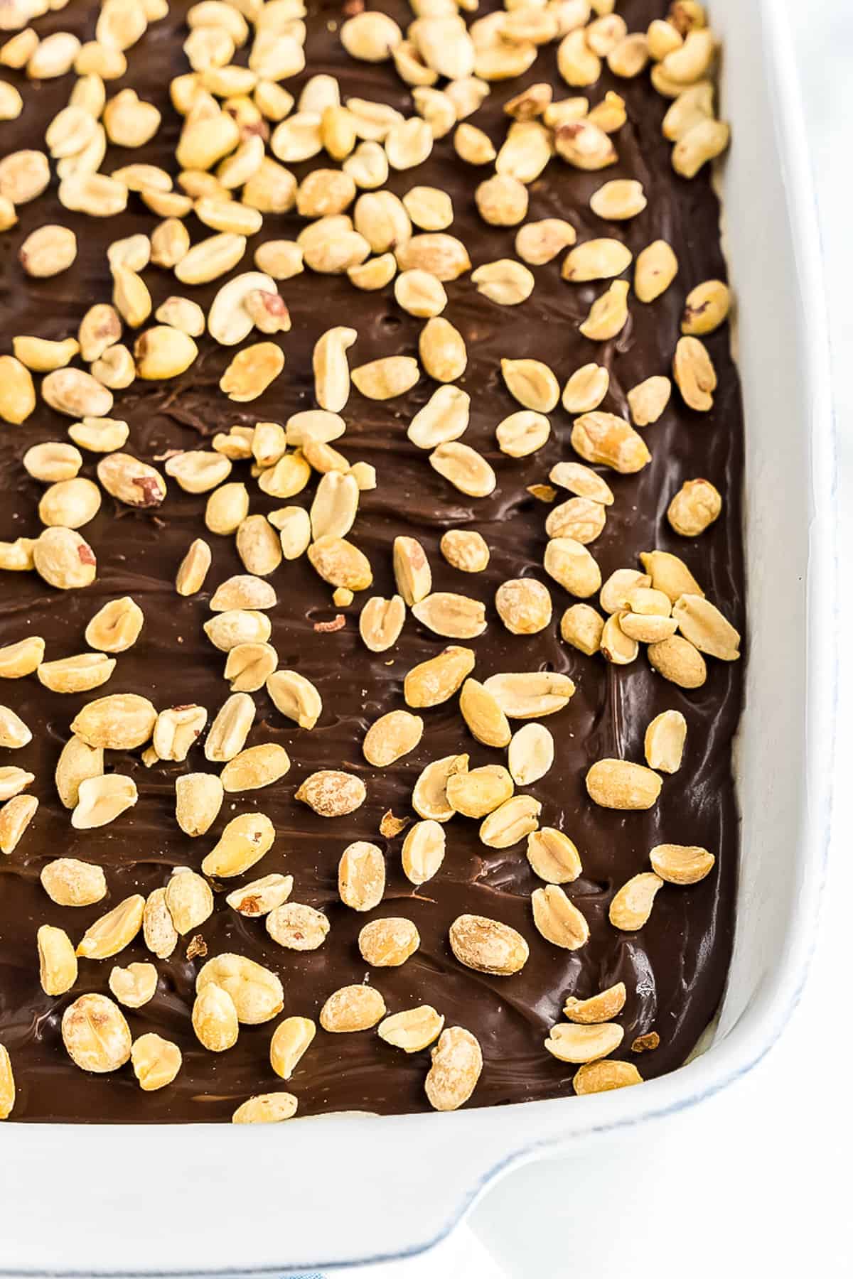 White baking dish with homemade fudge sauce layer topped with peanuts