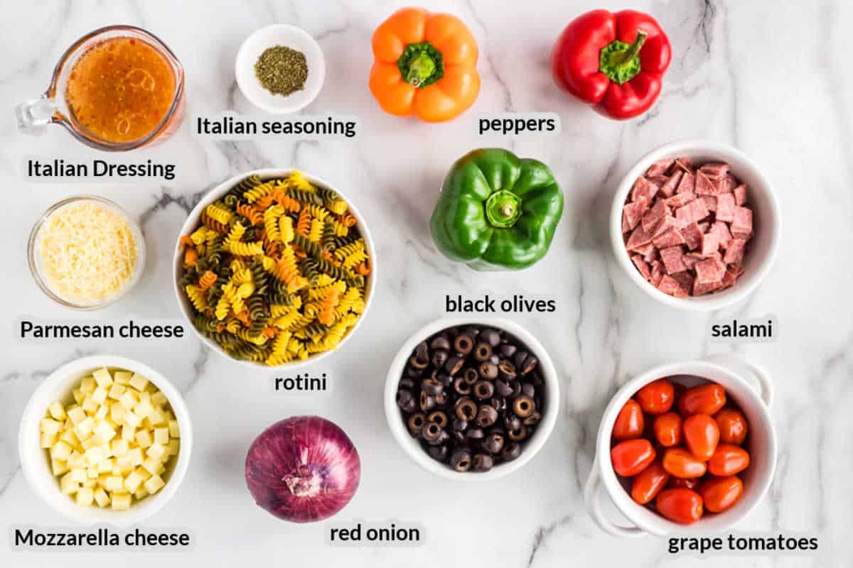 Overhead image of Italian Pasta Salad Ingredients