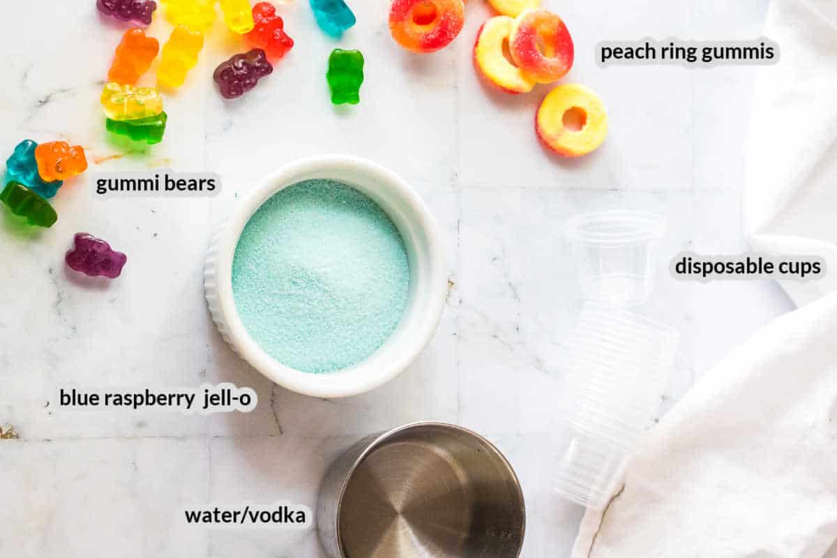 Overhead image of Pool Party Jello Shots Ingredients