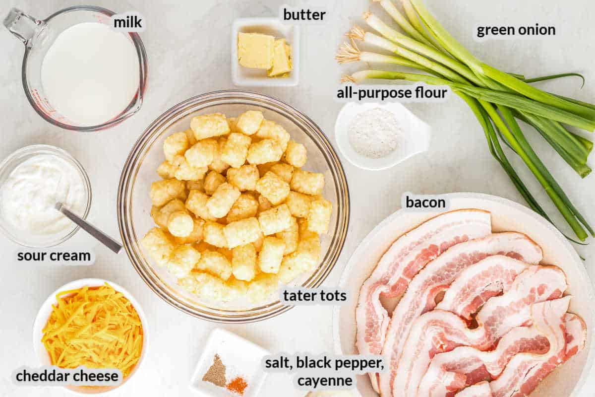 Overhead image of Loaded Tater Tots Ingredients