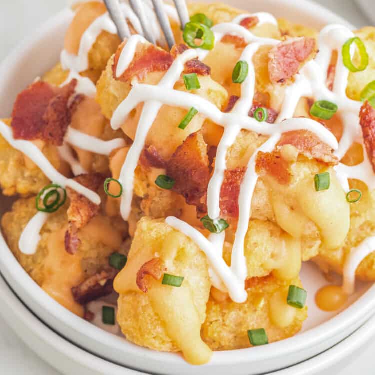 Loaded Tater Tots Square cropped image