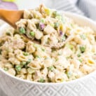 Tuna Pasta Salad Square cropped image