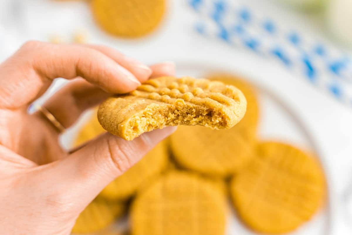 Hand holding peanut butter cookie