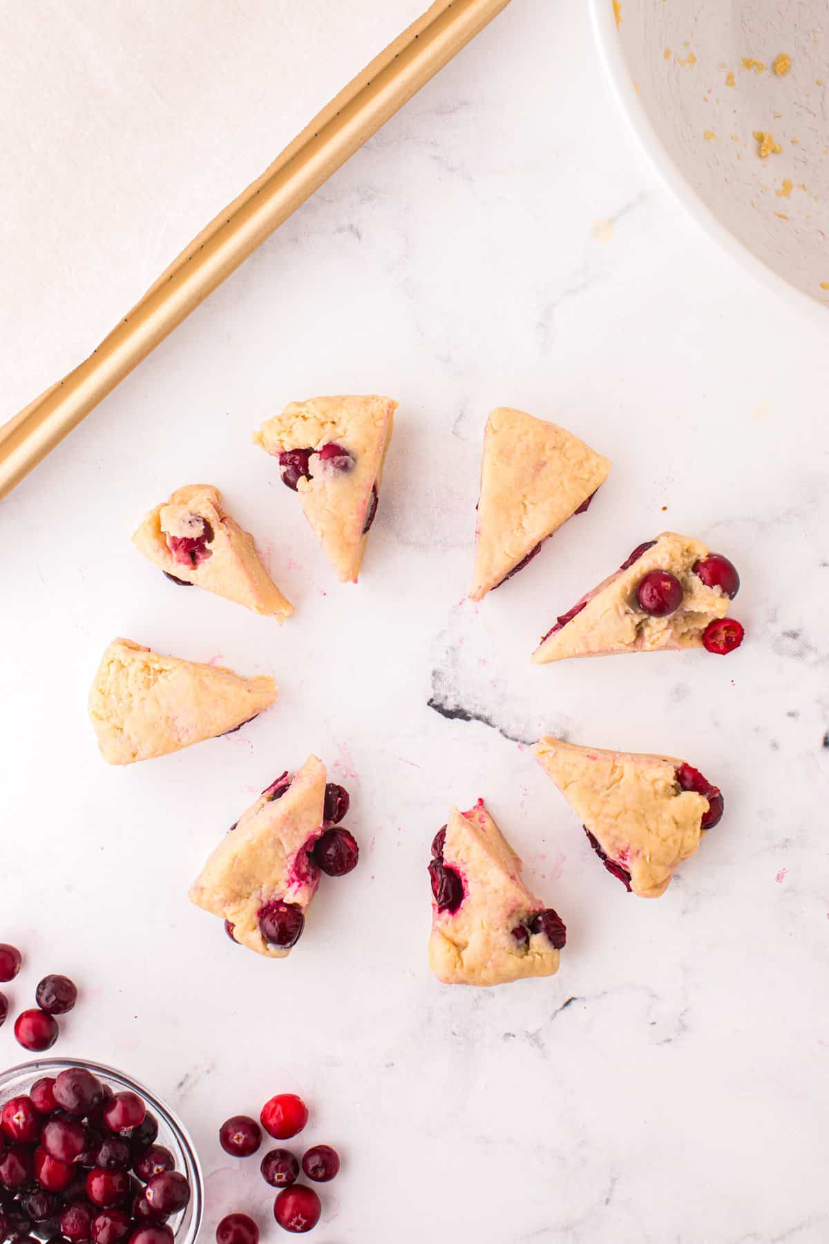 Cranberry Scones dough cut into wedges