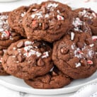 Chocolate Peppermint Cookies Square cropped image
