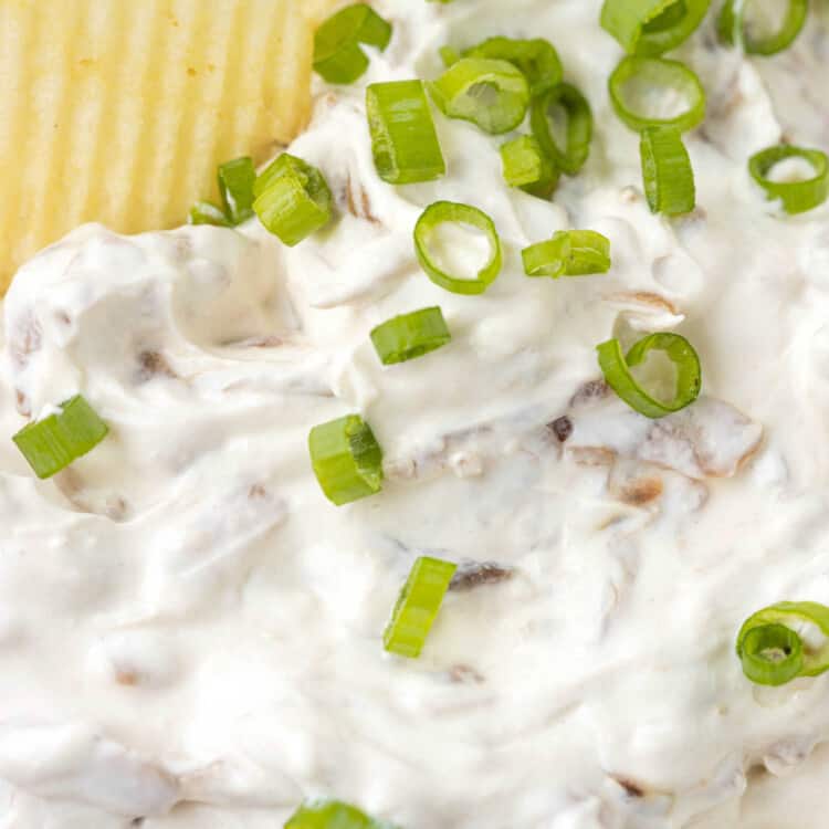 Caramelized Onion Dip Square Image