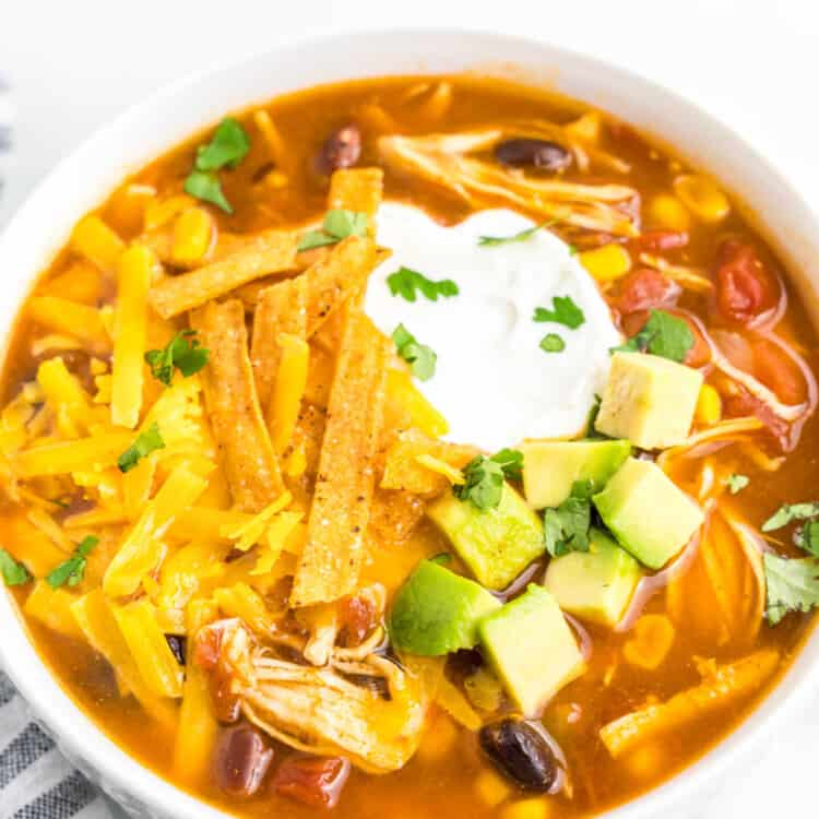 Instant Pot Chicken Taco Soup Overhead Square Image
