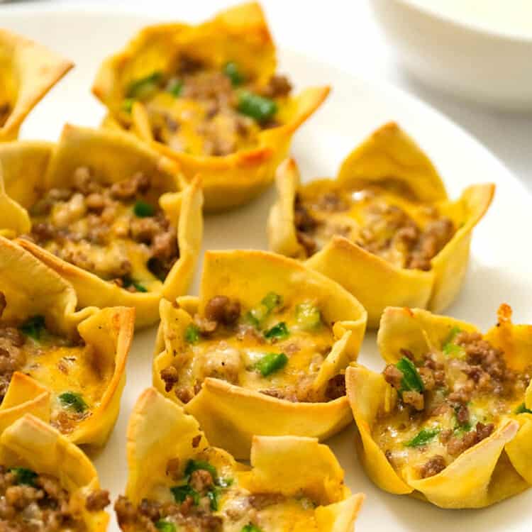 Square Image of Sausage Wontons