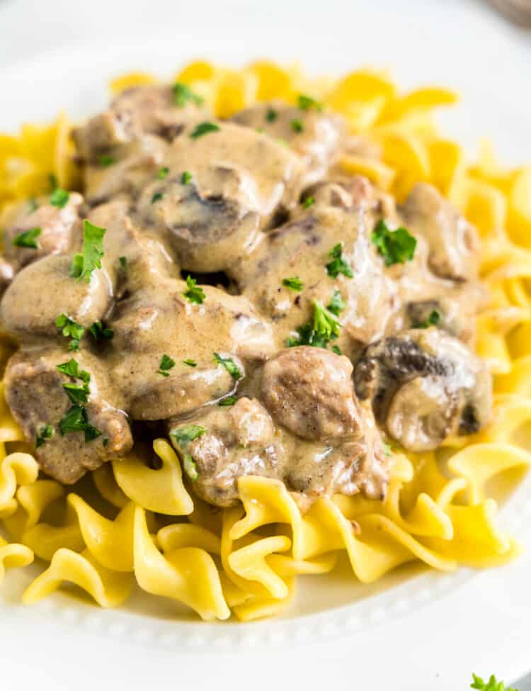 White plate of Crock Pot Beef Stroganoff