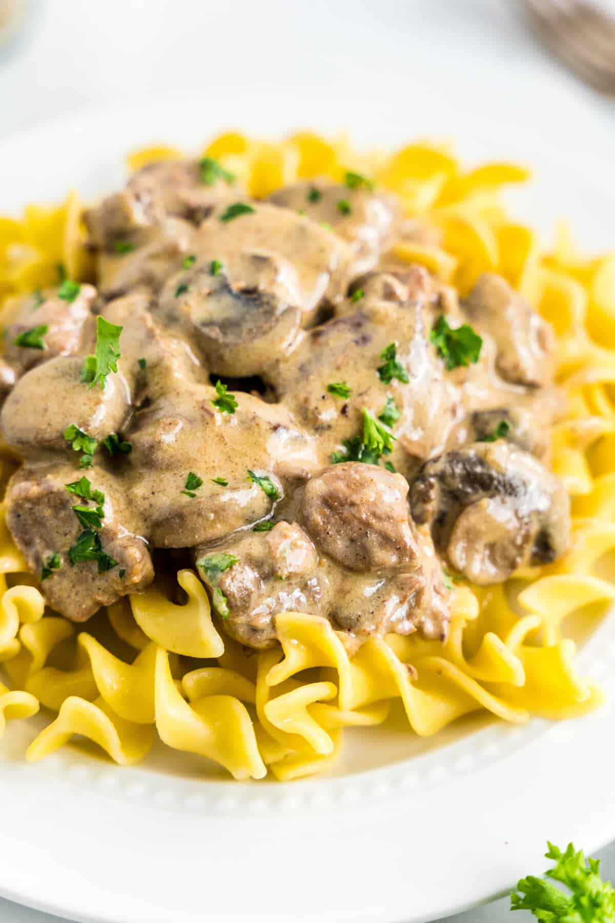 White plate of Crock Pot Beef Stroganoff