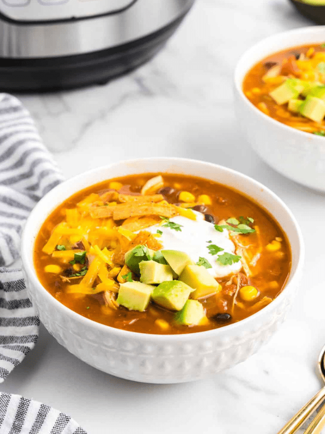 Instant Pot Chicken Taco Soup