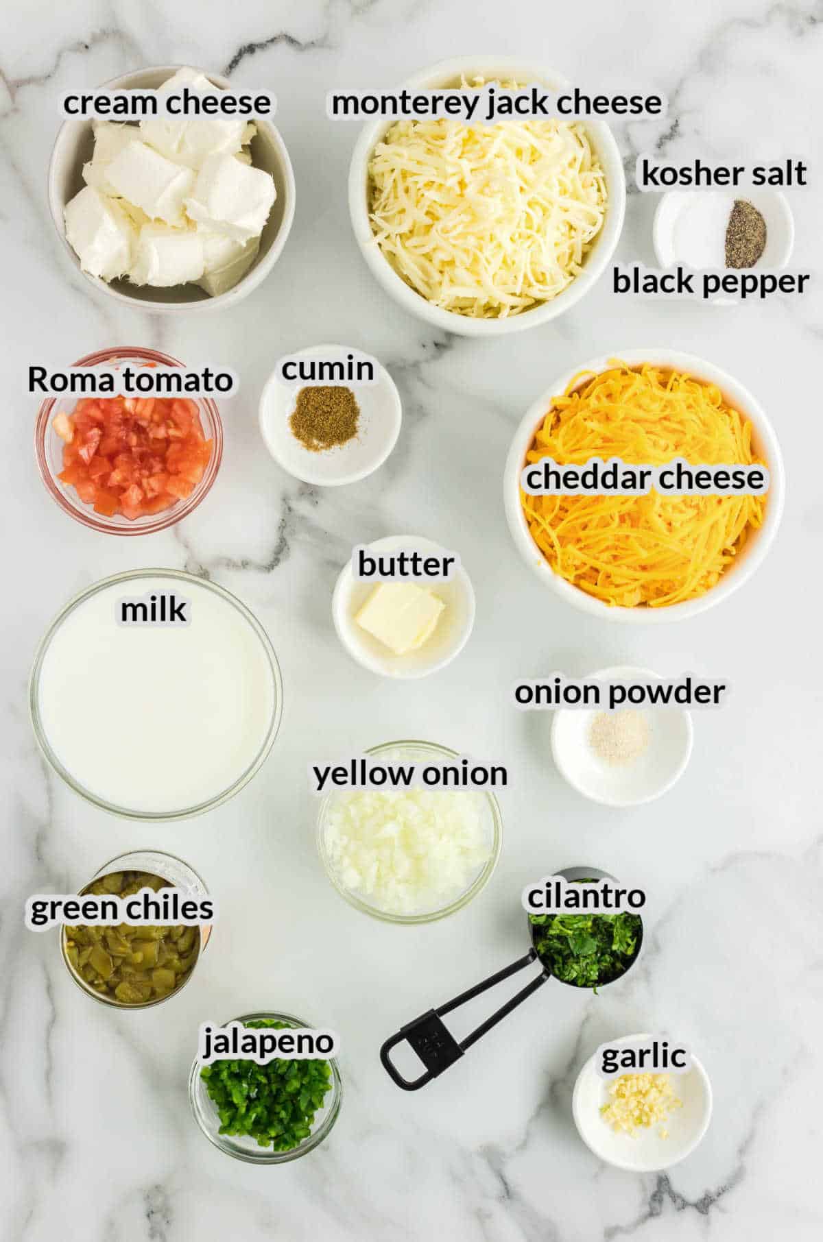 Overhead Image of Queso Dip Ingredients