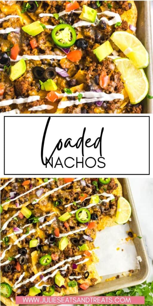 Loaded Nachos JET Pin Image