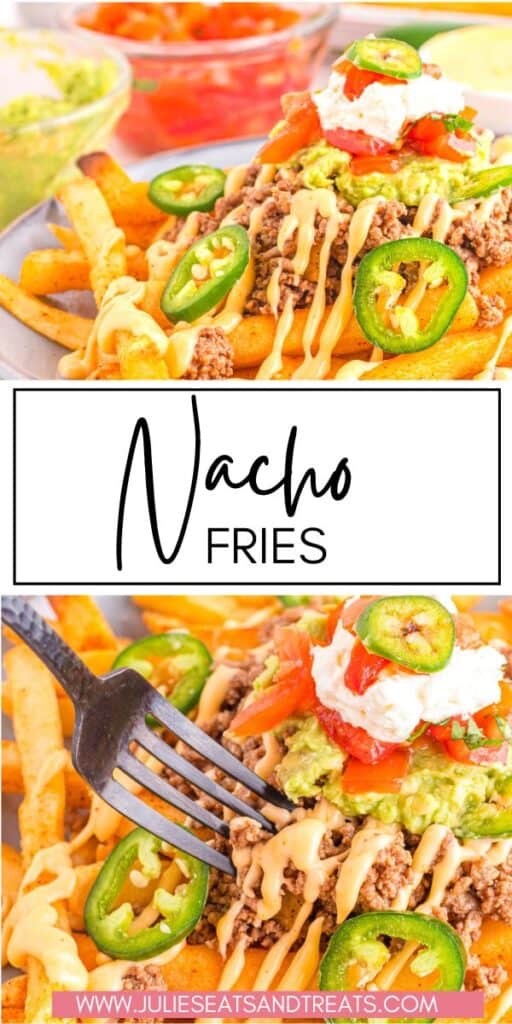 Nacho Fries JET Pin Image