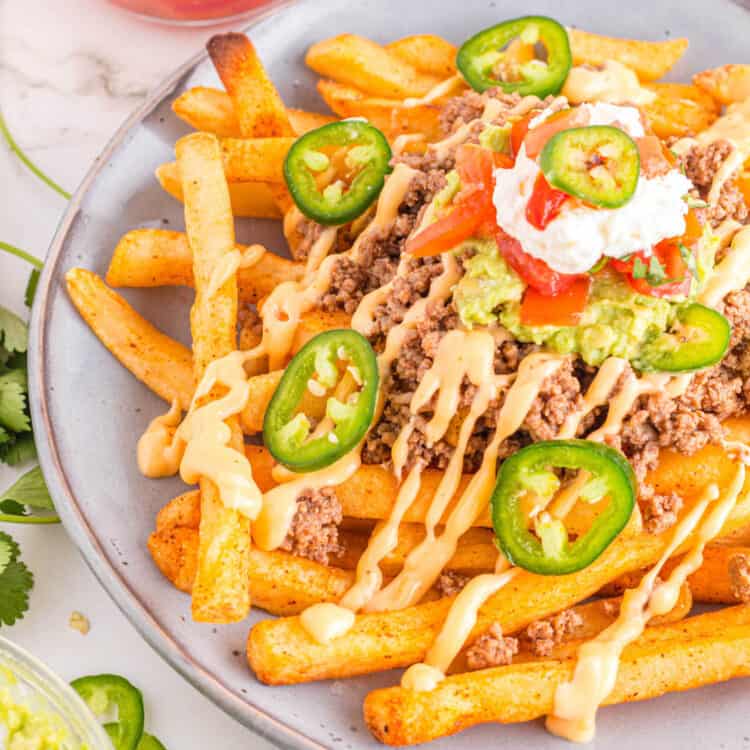 Square Image of Nacho Fries Recipe