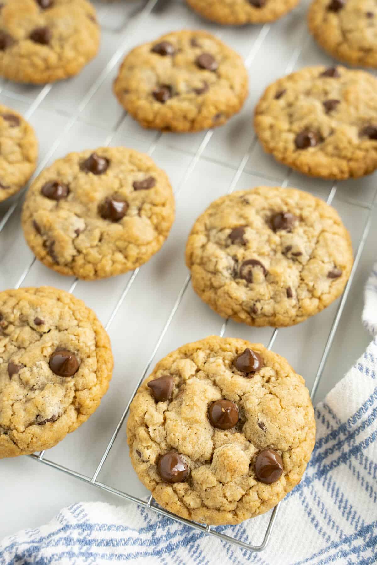 Golden Brown Oatmeal Chocolate Chip Cookies on Cooling Rack Ready to Enjoy