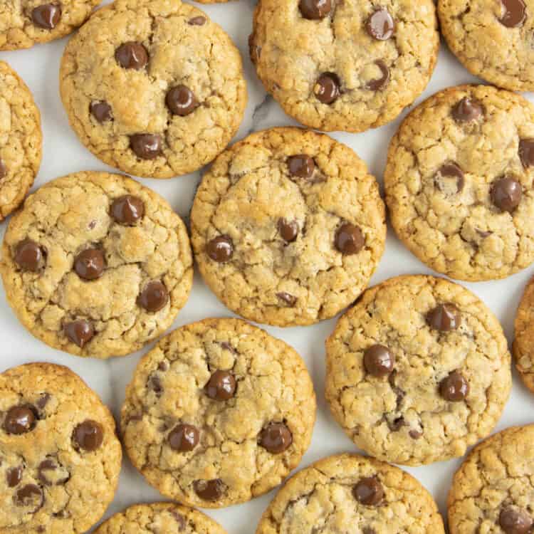 Square Image of Chewy Oatmeal Chocolate Chip Cookies