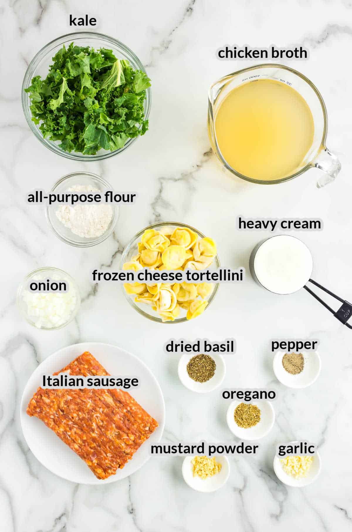 Overhead Image of Sausage Tortellini Soup Ingredients