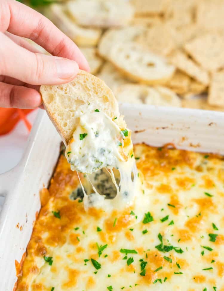 Homemade Hot Spinach Dip in Baking Dish Just Out of the Oven