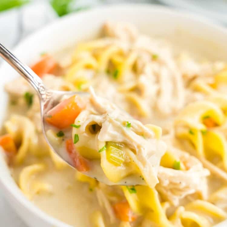 Creamy Chicken Noodle Soup Recipe in a Bowl Ready to Enjoy the First Spoonful