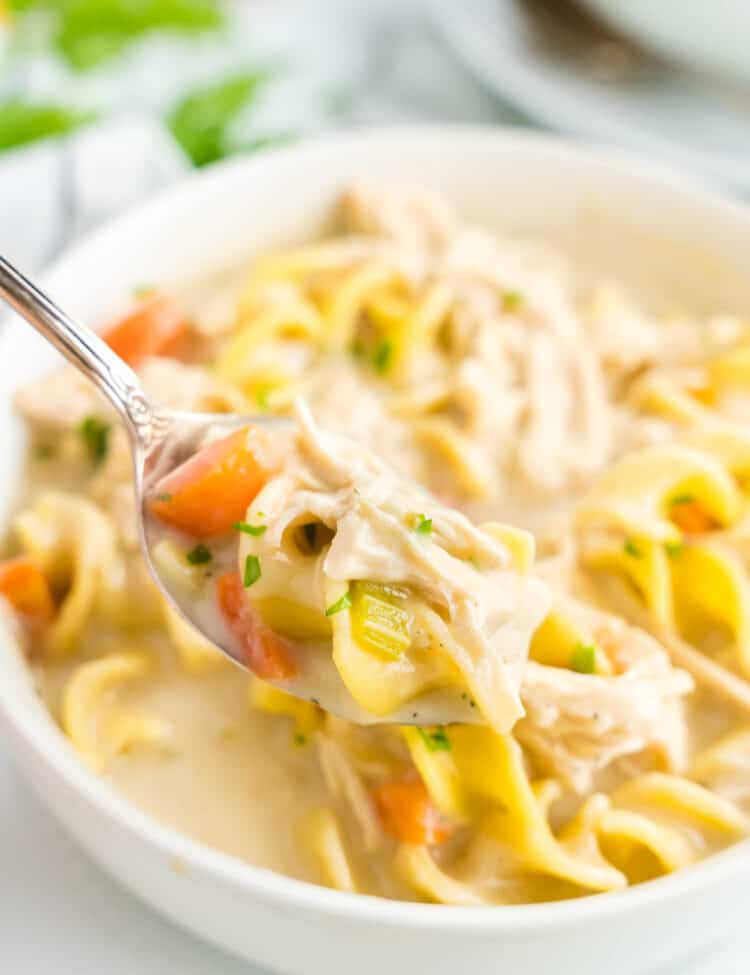 Creamy Chicken Noodle Soup Recipe in a Bowl Ready to Enjoy the First Spoonful