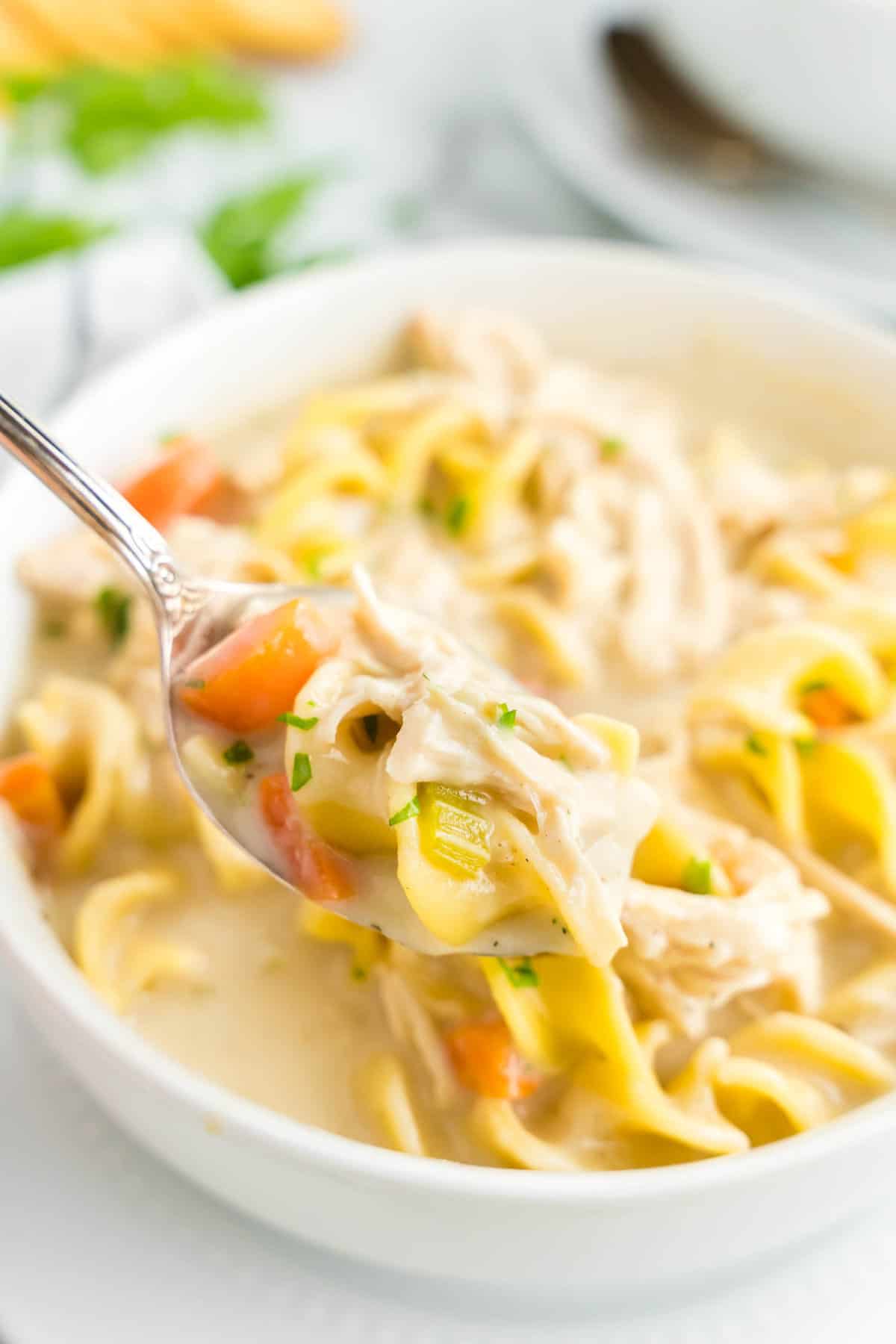 Creamy Chicken Noodle Soup Recipe in a Bowl Ready to Enjoy the First Spoonful