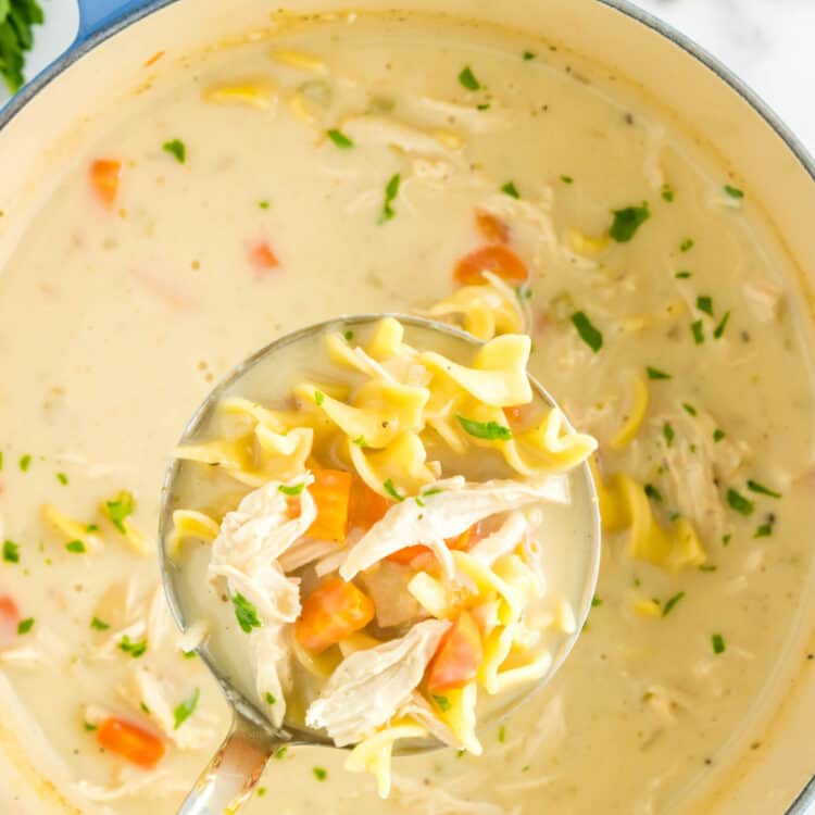 Creamy Chicken Noodle Soup in ladle