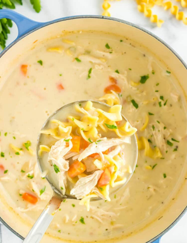 Creamy Chicken Noodle Soup in ladle