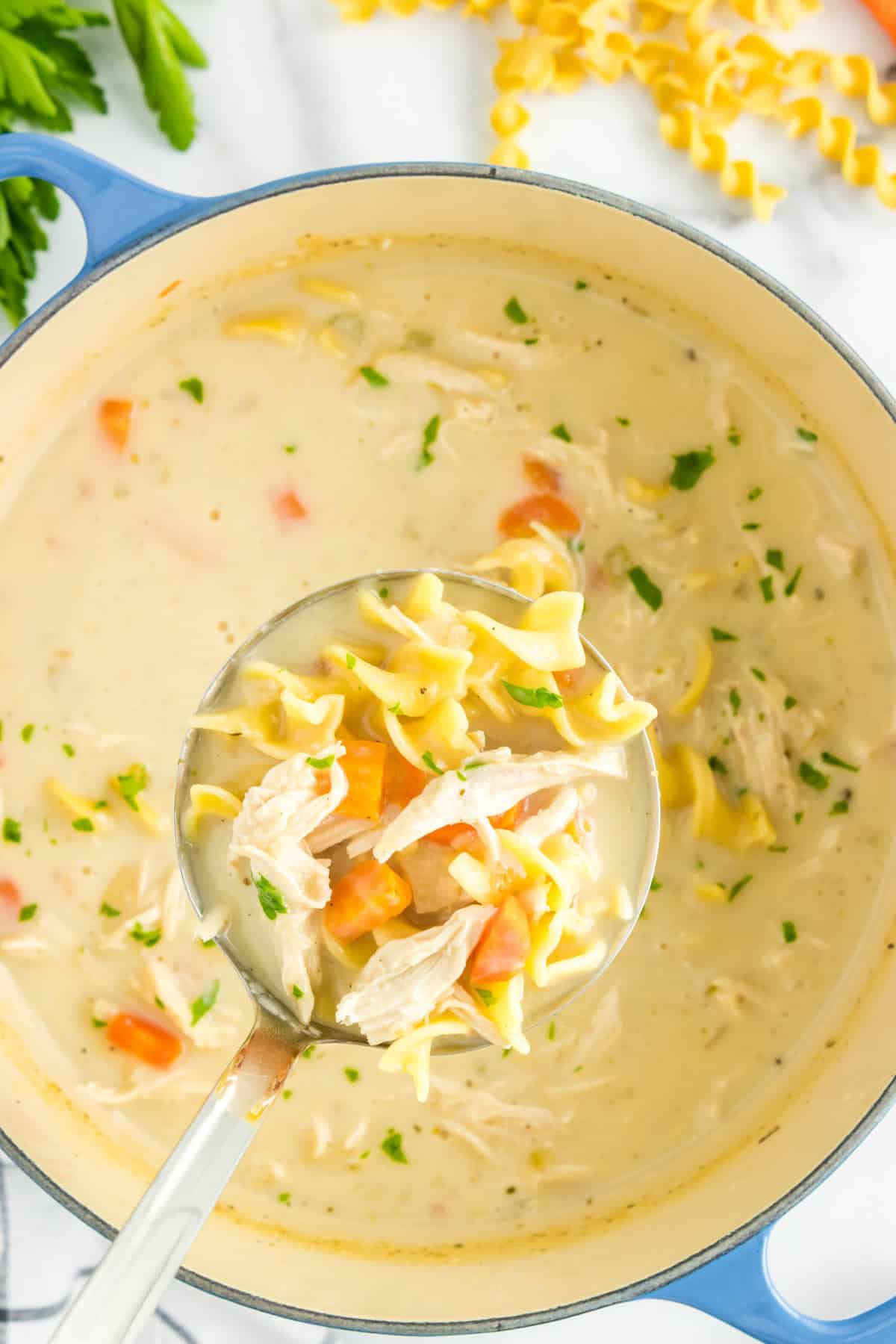 Creamy Chicken Noodle Soup With Ladel