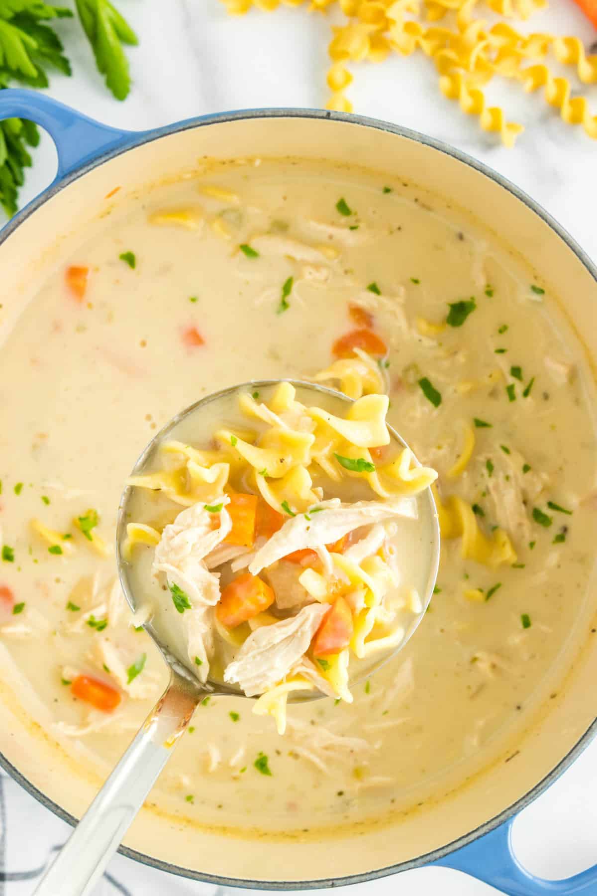 Creamy Chicken Noodle Soup With Ladel