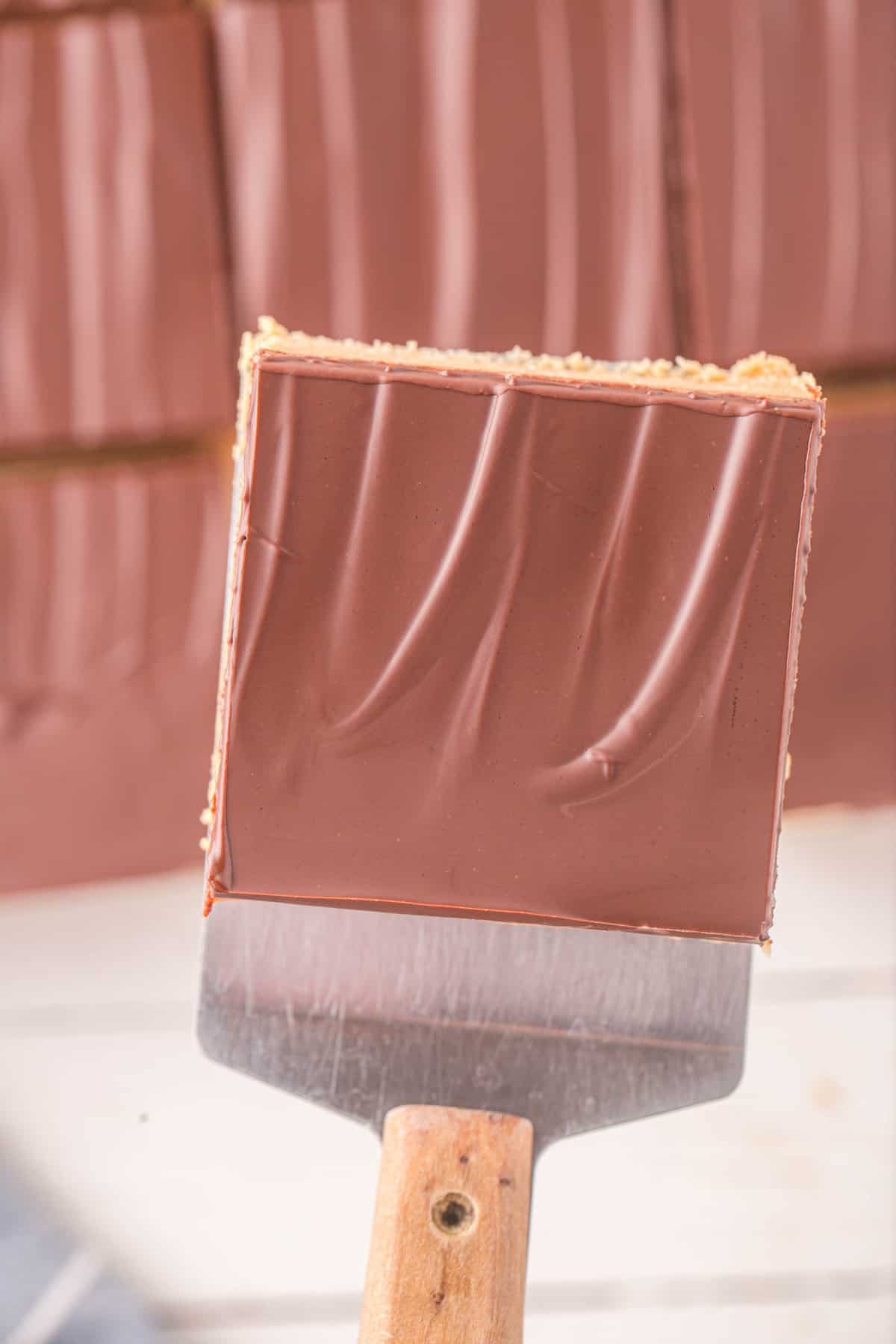Chocolate Peanut Butter Bars Recipe Ready to Enjoy