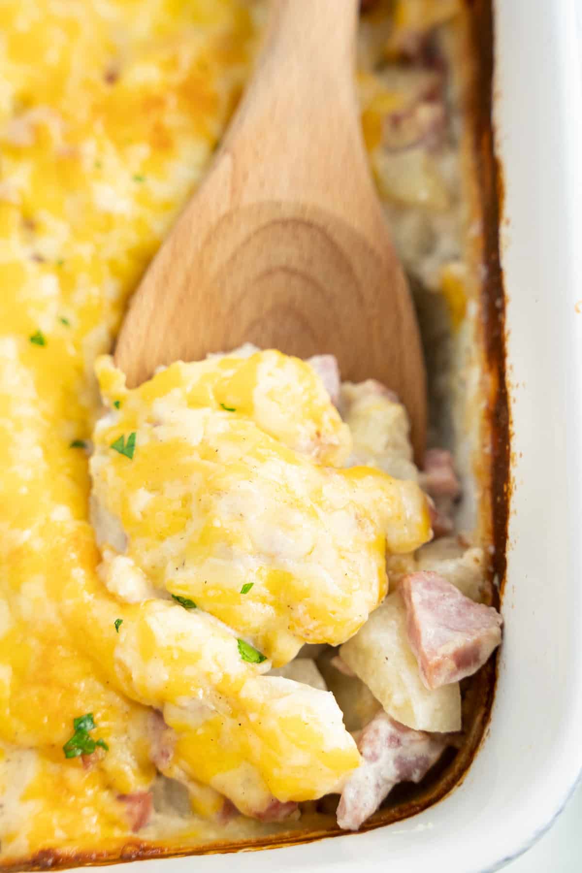 Wooden spoon scooping Ham and Potato Casserole out of dish