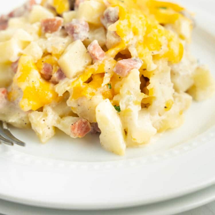 Ham and Potato casserole on white plate